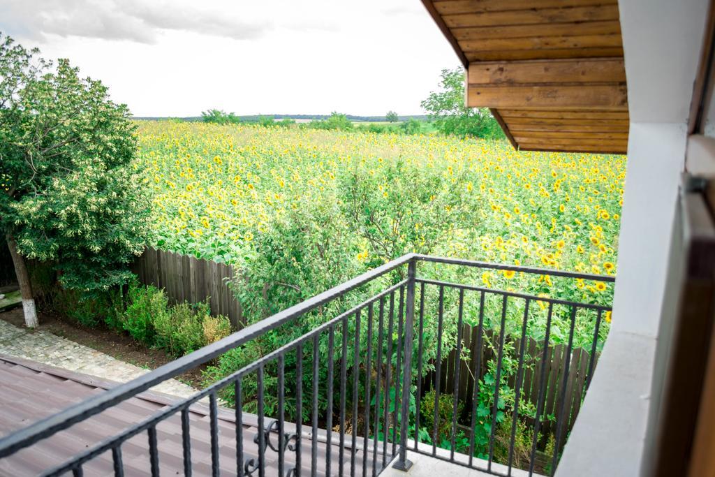 Casa Diana Hotel Comana Zewnętrze zdjęcie